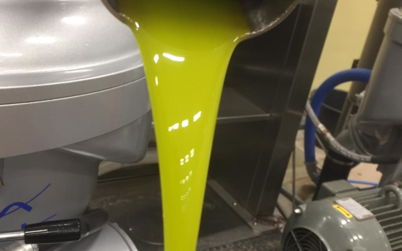 Olio di prima premitura