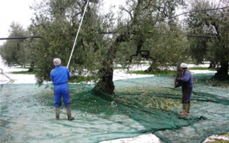 foto uomini raccogliendo con la neve